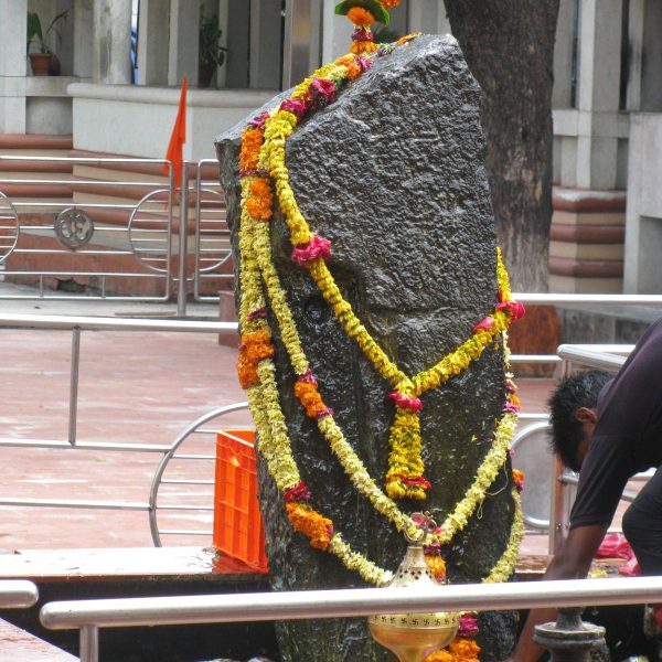 Shree Sadguru Krupa Tours & Travels08