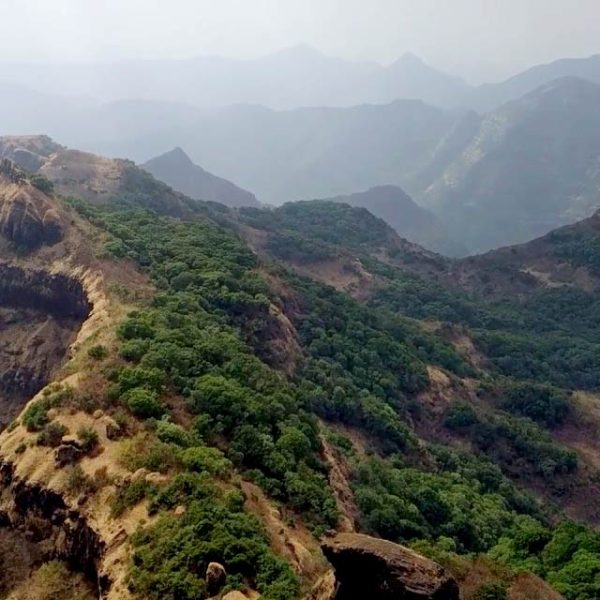 Shree Sadguru Krupa Tours & Travels12